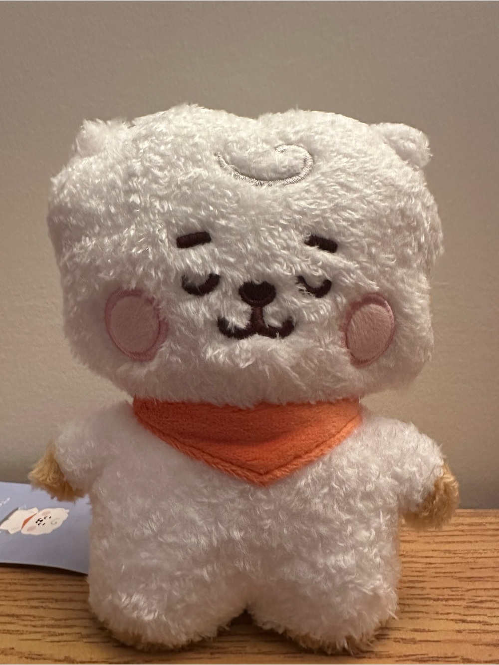 BT21 RJ BTS stand up plush doll
